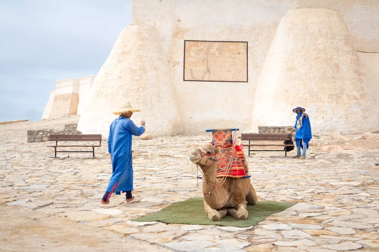 Camel ride at a coastal fortress