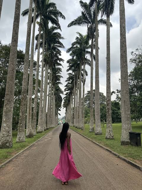 Traveler walking the Aburi palm avenue