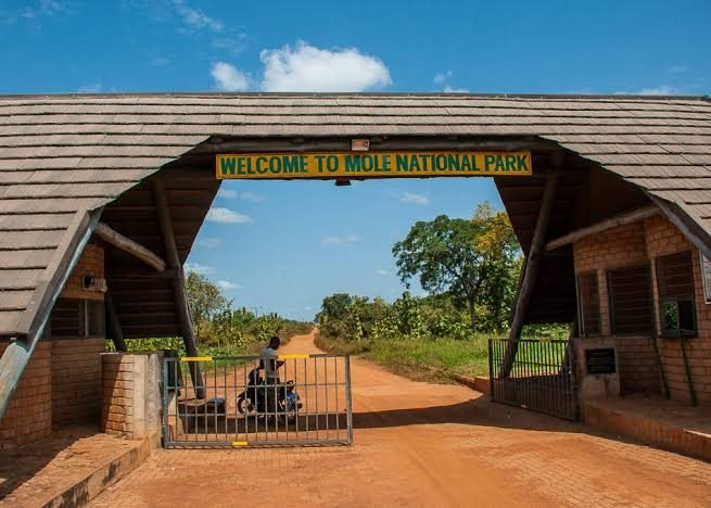 Mole National Park — entrance gate